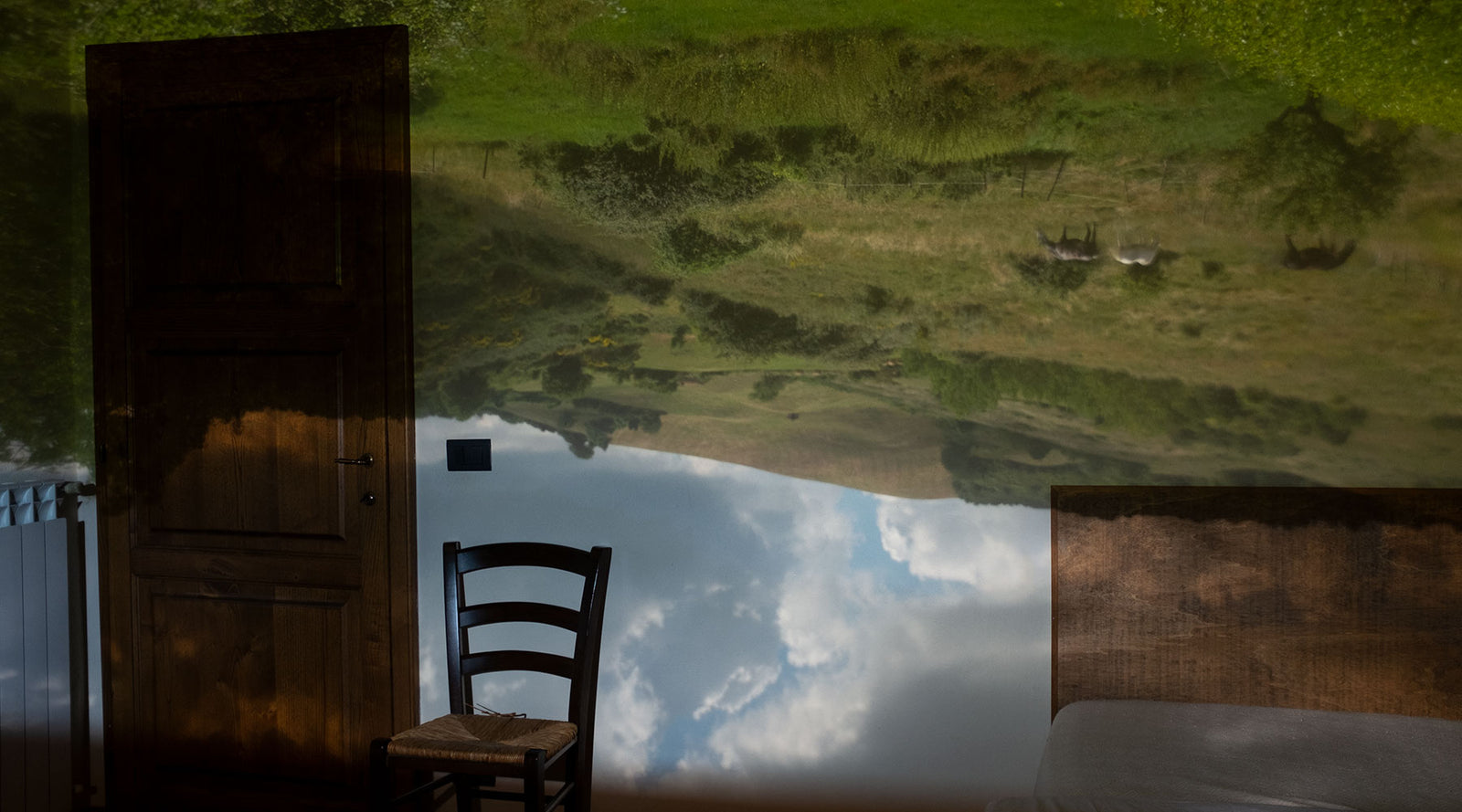Bonfoton upright Camera Obscura room image from Tuscany, Italy. A field with horses. Image made using the BonfotonUP Camera Obscura Device. 